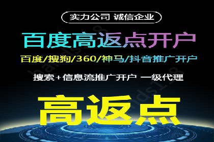 百度搜索推广案例集锦：实战技巧与策略解析